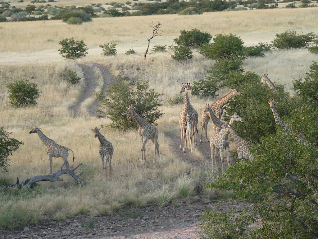 Etendeka Mountain Camp Damaraland Exterior photo