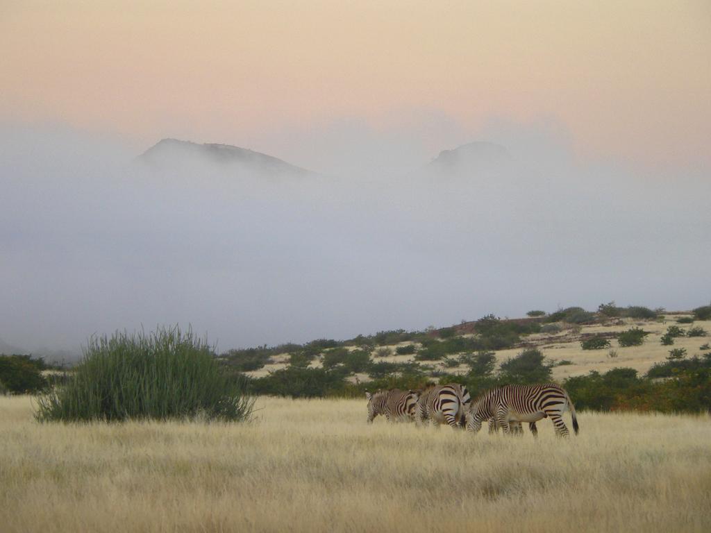 Etendeka Mountain Camp Damaraland Exterior photo