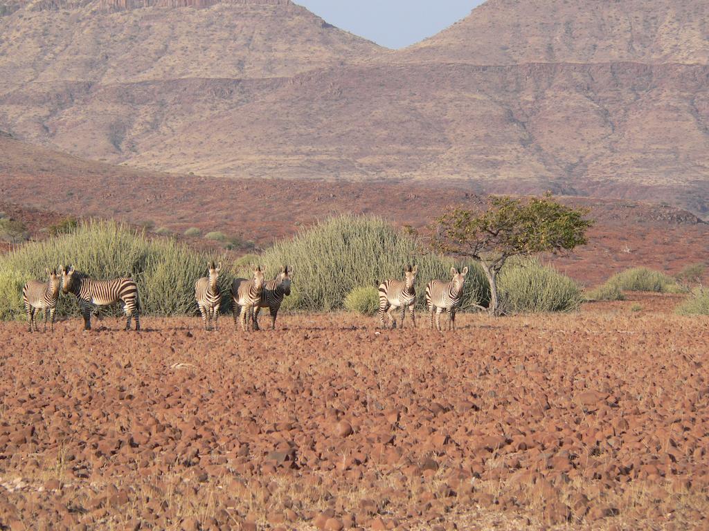 Etendeka Mountain Camp Damaraland Exterior photo